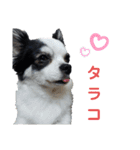 モモ＆くぅー2（個別スタンプ：18）