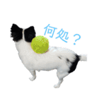 モモ＆くぅー2（個別スタンプ：20）