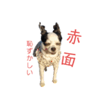 モモ＆くぅー2（個別スタンプ：34）