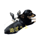 モモ＆くぅー2（個別スタンプ：38）