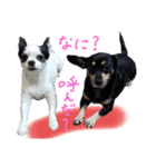 モモ＆くぅー2（個別スタンプ：39）