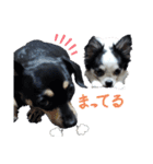 モモ＆くぅー2（個別スタンプ：40）