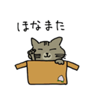 ウチのねこ  ももちゃん編（個別スタンプ：9）