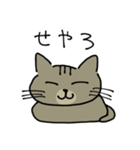 ウチのねこ  ももちゃん編（個別スタンプ：16）