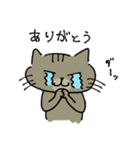 ウチのねこ  ももちゃん編（個別スタンプ：30）