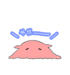 めんだこだこ（個別スタンプ：16）