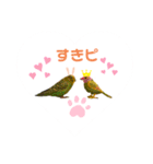 インコちゃんといっしょ 2（個別スタンプ：4）