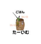 インコちゃんといっしょ 2（個別スタンプ：5）