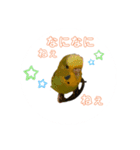 インコちゃんといっしょ 2（個別スタンプ：6）