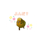 インコちゃんといっしょ 2（個別スタンプ：7）