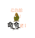 インコちゃんといっしょ 2（個別スタンプ：8）