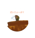 インコちゃんといっしょ 2（個別スタンプ：9）