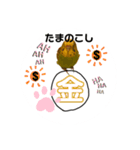 インコちゃんといっしょ 2（個別スタンプ：14）