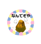インコちゃんといっしょ 2（個別スタンプ：16）