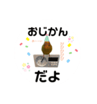 インコちゃんといっしょ 2（個別スタンプ：17）