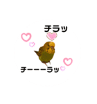 インコちゃんといっしょ 2（個別スタンプ：19）