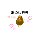インコちゃんといっしょ 2（個別スタンプ：20）