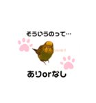 インコちゃんといっしょ 2（個別スタンプ：23）