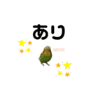 インコちゃんといっしょ 2（個別スタンプ：24）