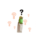 インコちゃんといっしょ 2（個別スタンプ：29）
