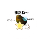 インコちゃんといっしょ 2（個別スタンプ：32）