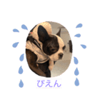 ほたてと愉快な仲間たち（個別スタンプ：2）
