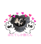 ほたてと愉快な仲間たち（個別スタンプ：3）