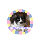 ほたてと愉快な仲間たち（個別スタンプ：6）
