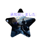 ほたてと愉快な仲間たち（個別スタンプ：9）