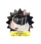 ほたてと愉快な仲間たち（個別スタンプ：15）