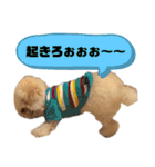 みかんの森（個別スタンプ：21）