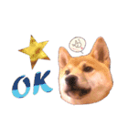 柴犬のしばおくん☆2（個別スタンプ：3）
