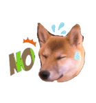 柴犬のしばおくん☆2（個別スタンプ：7）