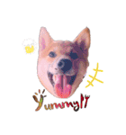 柴犬のしばおくん☆2（個別スタンプ：9）