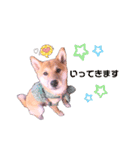 柴犬のしばおくん☆2（個別スタンプ：21）