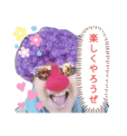 じんちゃん亭バンド(ミックス)（個別スタンプ：9）