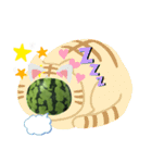 取りたて美味しい！スイカスタンプ（個別スタンプ：7）