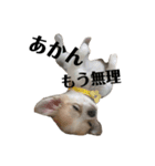 せなとくりあとみりと（個別スタンプ：4）