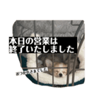 せなとくりあとみりと（個別スタンプ：5）