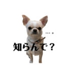 せなとくりあとみりと（個別スタンプ：7）