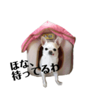 せなとくりあとみりと（個別スタンプ：13）