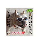 YAMATOだよ（個別スタンプ：14）