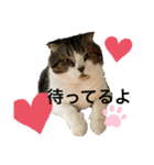 うにときす♡（個別スタンプ：2）