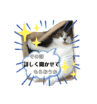 うにときす♡（個別スタンプ：3）