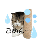 うにときす♡（個別スタンプ：4）