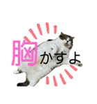 うにときす♡（個別スタンプ：6）