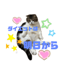 うにときす♡（個別スタンプ：7）