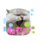 うにときす♡（個別スタンプ：13）