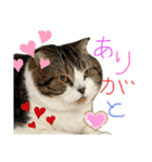 うにときす♡（個別スタンプ：14）