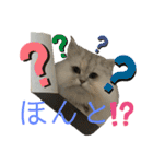 うにときす♡（個別スタンプ：18）